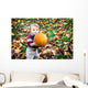 Wide Eyed Toddler Outside Holding a Big Pumpkin Wall Decal