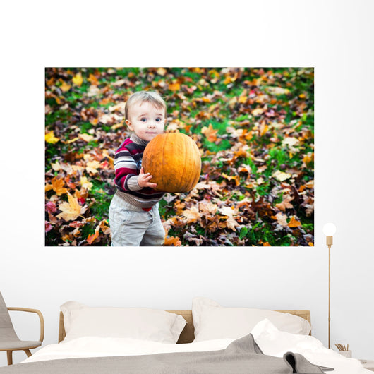 Wide Eyed Toddler Outside Holding a Big Pumpkin Wall Decal