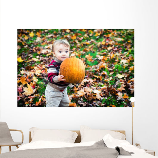 Wide Eyed Toddler Outside Holding a Big Pumpkin Wall Decal