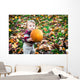 Wide Eyed Toddler Outside Holding a Big Pumpkin Wall Decal