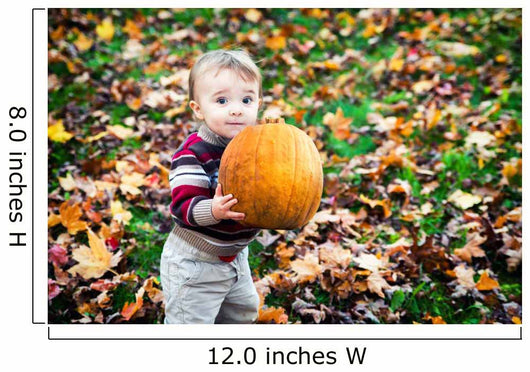 Wide Eyed Toddler Outside Holding a Big Pumpkin Wall Decal