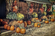 Autumn Pumpkin Theme Display Wall Decal