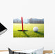 golf ball near the hole Wall Decal
