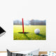 golf ball near the hole Wall Decal
