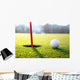 golf ball near the hole Wall Decal