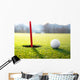 golf ball near the hole Wall Decal