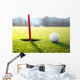golf ball near the hole Wall Decal