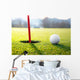 golf ball near the hole Wall Decal