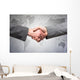 International handshake Wall Decal