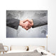 International handshake Wall Decal