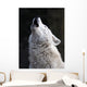 Howling White Wolf Wall Decal