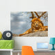 Male lion sitting on a rock facing straight Wall Decal