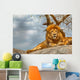 Male lion sitting on a rock facing straight Wall Decal