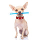 Toothbrush Dog
