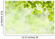 Spring Foliage Leaves Wall Decal