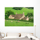 Farmhouse in English countryside of Cotswolds Wall Decal