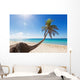 Palm tree on caribbean beach Wall Decal