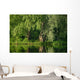 Landscape Wall Decal