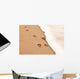 Paw prints in the sand Wall Decal