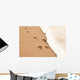 Paw prints in the sand Wall Decal
