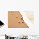 Paw prints in the sand Wall Decal