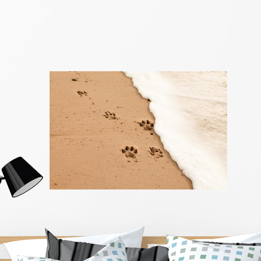 Paw prints in the sand Wall Decal