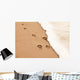 Paw prints in the sand Wall Decal