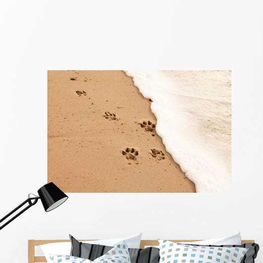 Paw prints in the sand Wall Decal