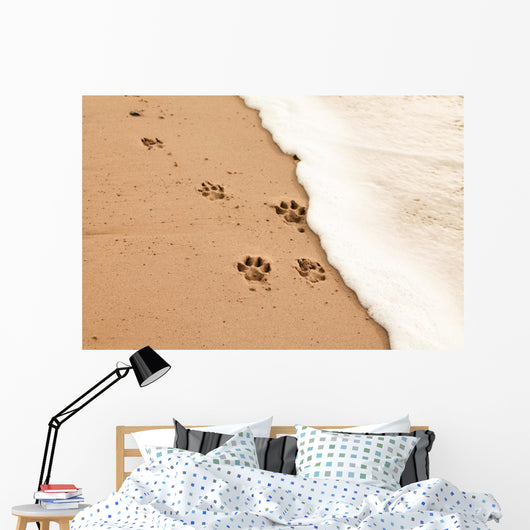 Paw prints in the sand Wall Decal