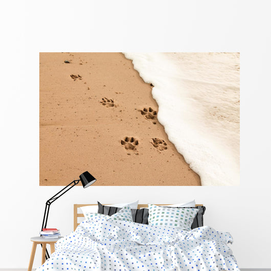 Paw prints in the sand Wall Decal