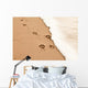 Paw prints in the sand Wall Decal