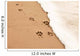 Paw prints in the sand Wall Decal