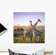 Crossed Giraffes African Savannah Wall Decal