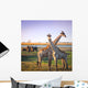 Crossed Giraffes African Savannah Wall Decal