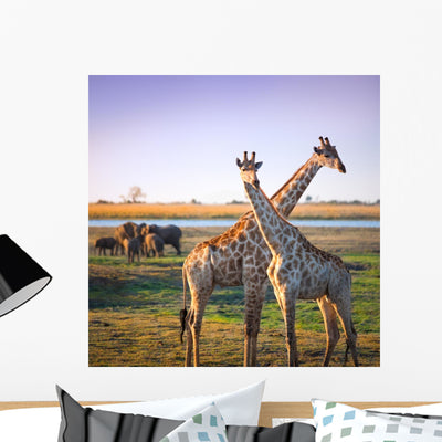Crossed Giraffes African Savannah Wall Decal shown on a wall