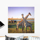 Crossed Giraffes African Savannah Wall Decal