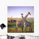 Crossed Giraffes African Savannah Wall Decal