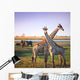 Crossed Giraffes African Savannah Wall Decal
