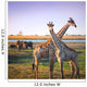 Crossed Giraffes African Savannah Wall Decal