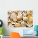 sea shells and sand Wall Decal