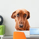 Dachshund Wall Decal