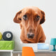 Dachshund Wall Decal