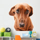 Dachshund Wall Decal