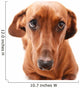 Dachshund Wall Decal