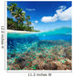 Coral Reef Tropical Sea Wall Decal