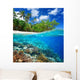Coral reef in tropical sea. Wall Decal