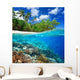 Coral reef in tropical sea. Wall Decal
