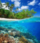 Coral reef in tropical sea. Wall Decal