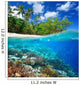 Coral reef in tropical sea. Wall Decal