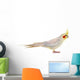 Pet Cockatiel Wall Decal